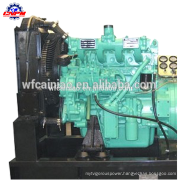 weifang ricardo 495/4100 diesel engine